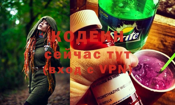 шишки Белокуриха