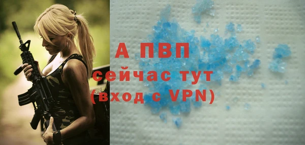 шишки Белокуриха