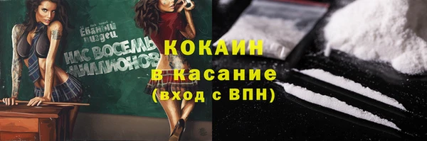 шишки Белокуриха