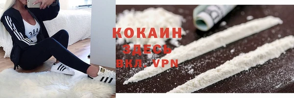 шишки Белокуриха