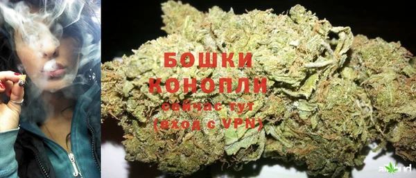 шишки Белокуриха