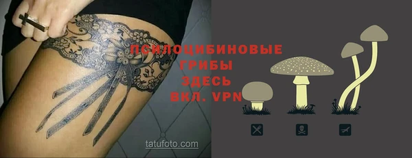 бошки Беломорск