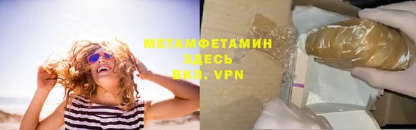 шишки Белокуриха