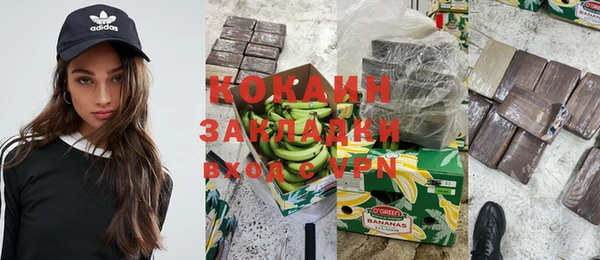 шишки Белокуриха