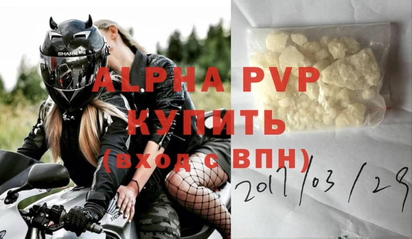 шишки Белокуриха
