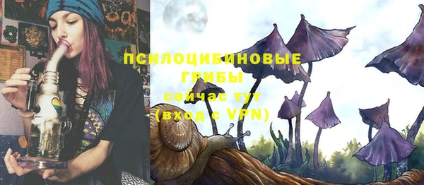 бошки Беломорск