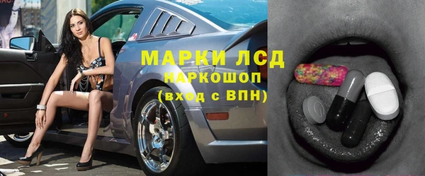 шишки Белокуриха