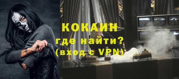 шишки Белокуриха