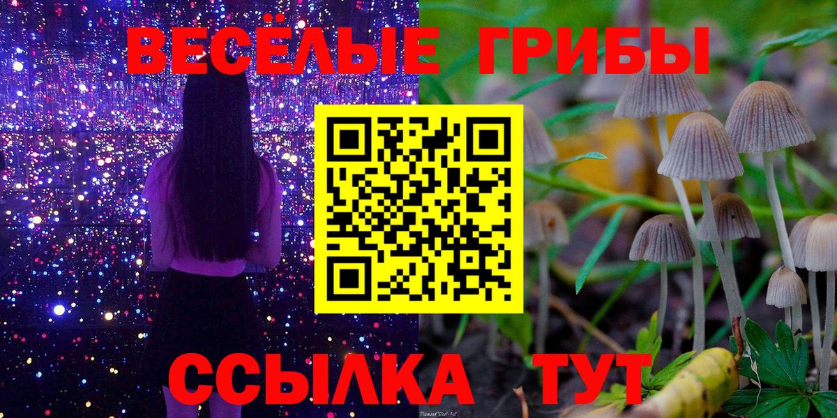 Галлюциногенные грибы мухоморы  Галлюциногенные грибы Psilocybine cubensis  Краснокаменск  Вход с VPN 
